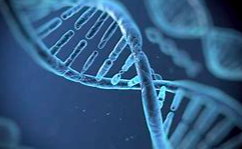 肺部感染性疾病支气管肺泡灌洗病原体检测中国专家共识（2017年）（节选）