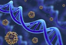 Bartter综合征诊疗中国专家共识(2023)