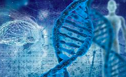 2022CSCO肝癌诊疗指南