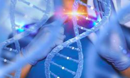 截至2023年底，FDA批准的细胞和基因疗法清单