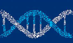 项目文章：空间转录组揭示玉米籽粒发育过程中蔗糖在韧皮部的运输