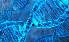 中国Ehlers-Danlos综合征诊疗指南