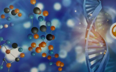 CACA胃癌整合诊治指南（精简版）