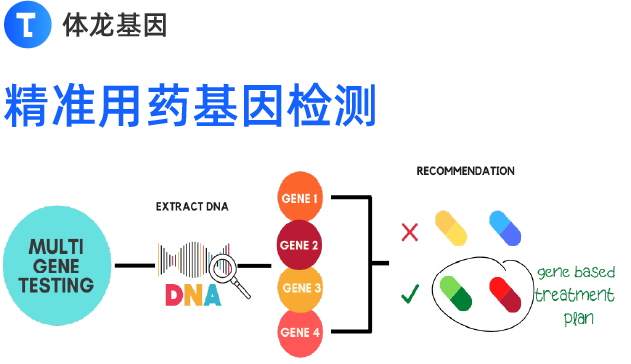 安全用药基因检测 到期时间：2026/12/31